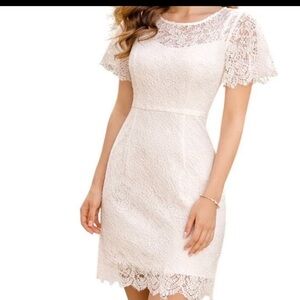 MSLG White Lace Cocktail Dress Short Sleeve Sheath Bridal Party Look Size M NWT